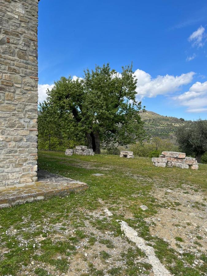 Agriturismo Cervinace Oriolo  외부 사진